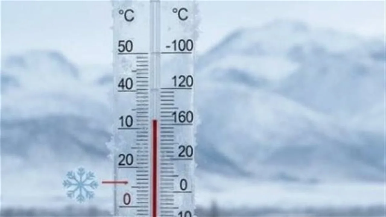 ضباب كثيف يغطي الطرق فجر اليوم وتحذيرات مرورية مشددة للسائقين في المملكة